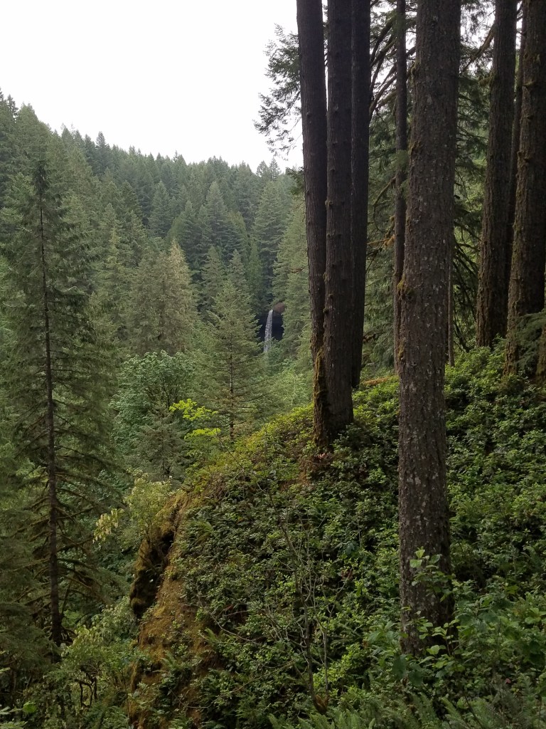 North Falls as seen from the Silver Falls Rim Trail